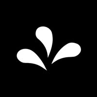 Fontspring Emails