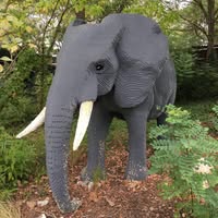 Little Elephant Emails