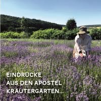 Apostel Kräuter