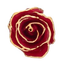 The Forever Rose Emails