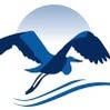 Blue Heron Health News Emails