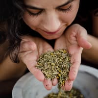 Ora's Amazing Herbal Emails