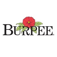 Burpee Emails