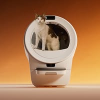 litter.robot Emails