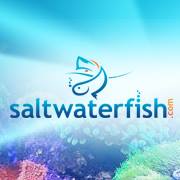 Salt Water Fish Emails