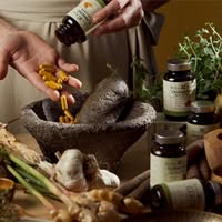 Herbal Roots Emails