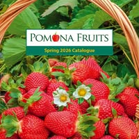 Pomona Fruits Emails