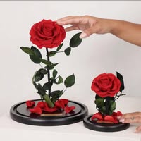 Luxe Bouquet