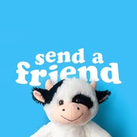 Send a Friend Emails