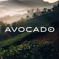 Avocado Mattress Emails