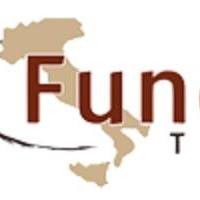 Fundadore Emails