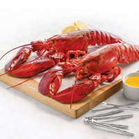 Lobster Gram Emails