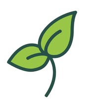Bloomling Emails