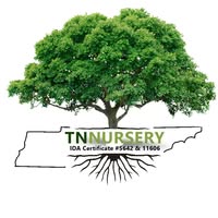 TN Nursery Emails