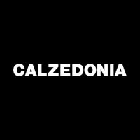 Calzedonia Emails