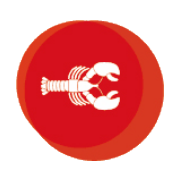LobsterKing Emails