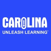 Carolina Emails