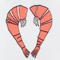 Shrimps Emails
