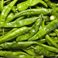 Hatch Green Chile Emails