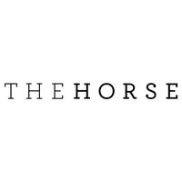 The Horse Emails